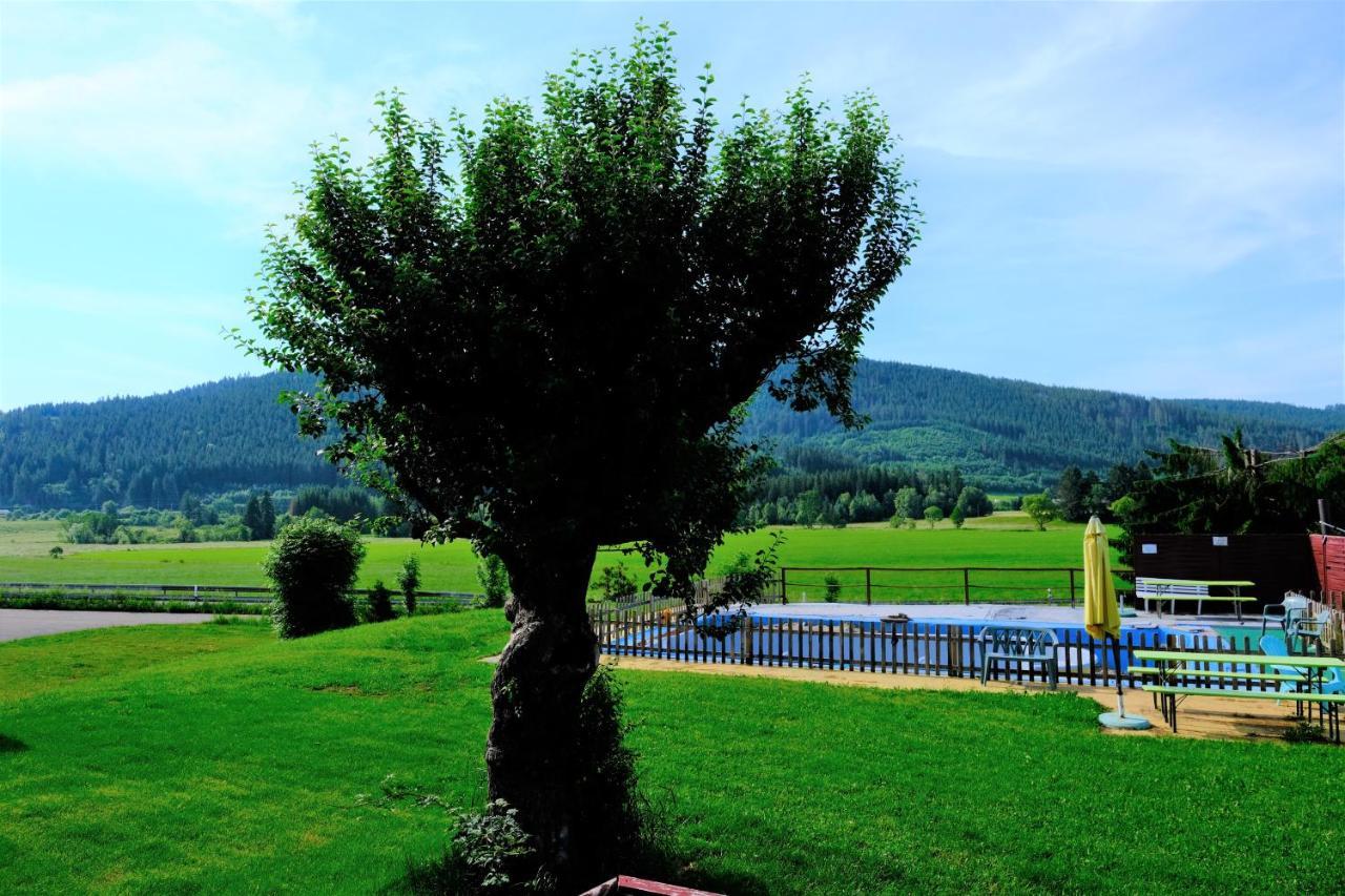 B Und B Titisee Hotel Sonnenmatte Nahe Badeparadies Εξωτερικό φωτογραφία